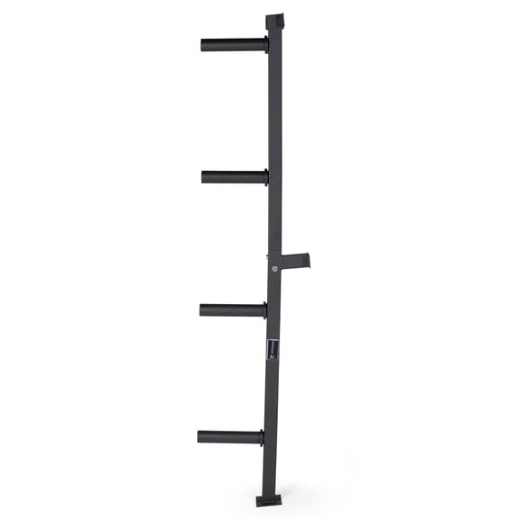 Titan Fitness Weight Plate Wall Mounted Storage Rack, Angled 4-Peg Design, Olympic Sized Weight Plate Organizer, Rated 800 LB, Anchored Wall Mounted Storage