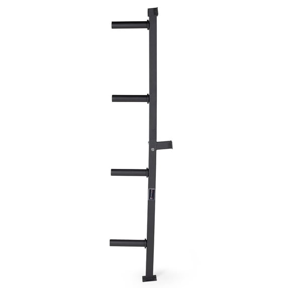 Titan Fitness Weight Plate Wall Mounted Storage Rack, Angled 4-Peg Design, Olympic Sized Weight Plate Organizer, Rated 800 LB, Anchored Wall Mounted Storage