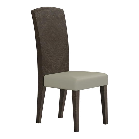 Titan Furnishings 43.5" Modern Lacquer Wood Dining Chair in High Gloss Gray