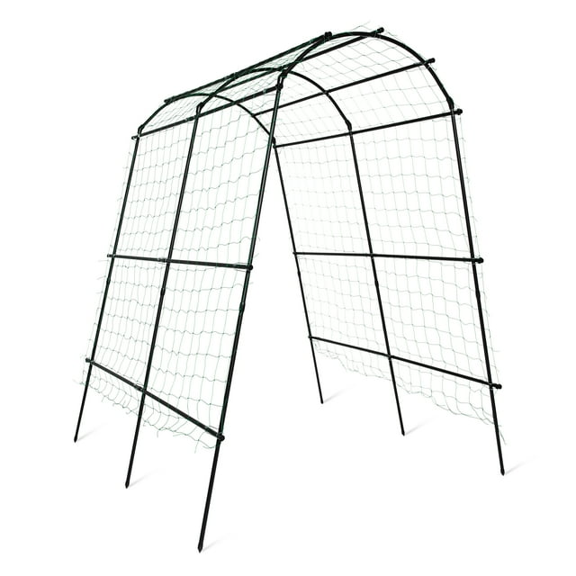 Gardener's Supply Company Titan Squash Tunnel, Over The Top Trellis 80" High