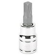 thumbnail image 1 of Titan Tools 68962 3/8" Drive MTS2 Mortorq Bit Socket, 1 of 3