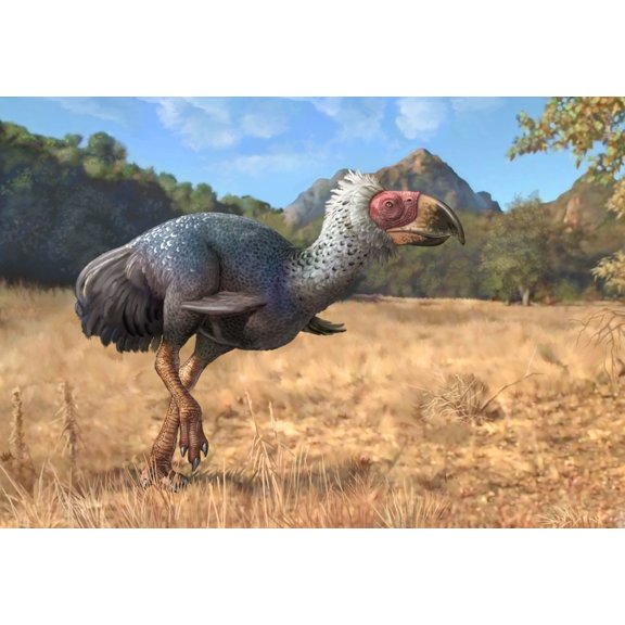 Titanis walleri a flightless carnivorous bird from the Pleistocene epoch Canvas Art - Sergey KrasovskiyStocktrek Images (34 x 24)