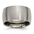 thumbnail image 1 of Titanium 12mm Brushed Band, 1 of 7