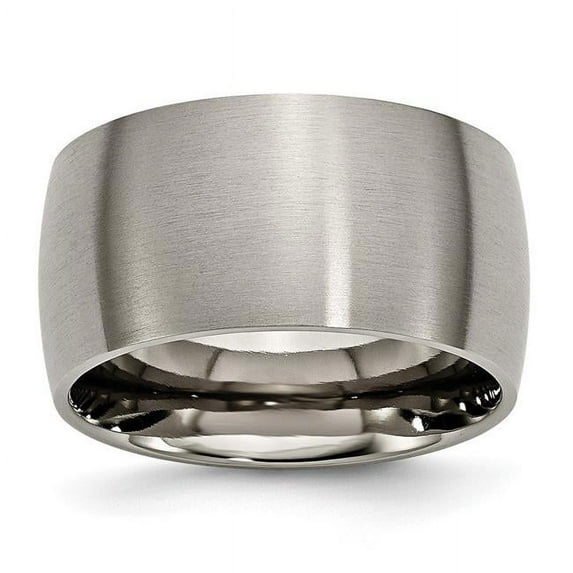 Titanium 12mm Brushed Band