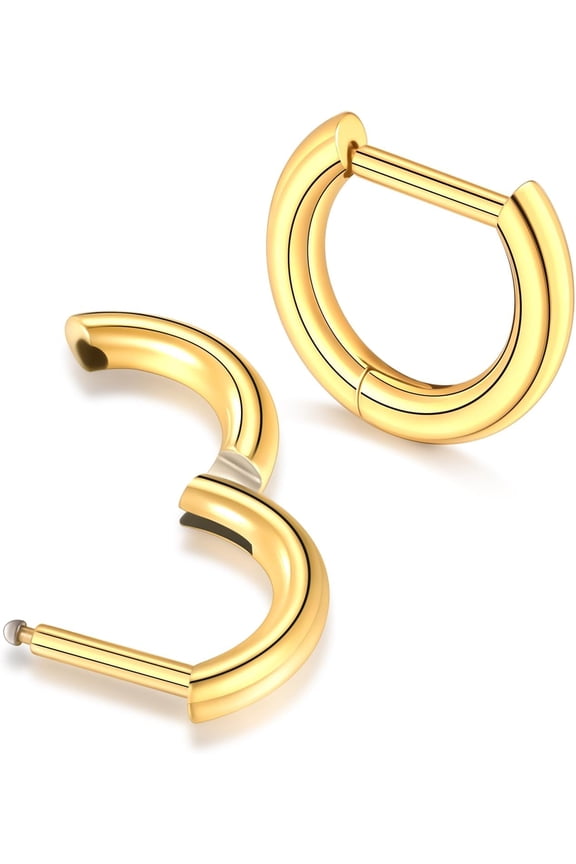 Titanium 16G D Shaped Nose Rings Hoops 8/10/12mm - Higned Segment Clicker Septum Rings Daith Conch Cartilage Piercing Jewelry for Women Men, Silver/Gold, 2PCS