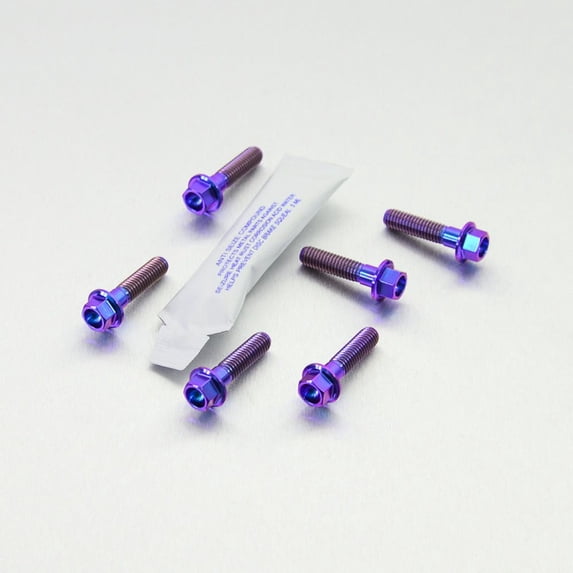 Titanium Disc Bolts Front M6x25mm Flanged Hex Pack x6 (TIDISCKIT-KZ1)
