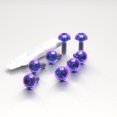 thumbnail image 1 of Titanium Disc Bolts Honda Pack x8 (TI8DISCHONF), 1 of 6