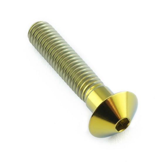 Titanium Frame Guard Mount Bolt (TIFRAMEGUARDMOUNT)