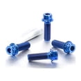thumbnail image 1 of Titanium Front Caliper Pinch Bolt Kit DualDrive (TIFBCALIP40DD), 1 of 6