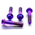 thumbnail image 1 of Titanium Front Caliper Pinch Bolt Kit (TIFBCALIP230), 1 of 6