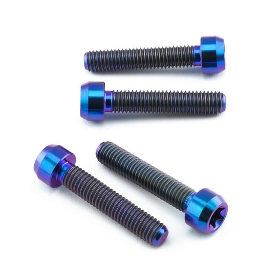 Titanium Front Caliper Pinch Bolt Kit Torx Drive (TIFBCALIP300)