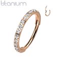 thumbnail image 1 of Titanium Hinged Segment Hoop Nose Ring 20 Gauge Outward Facing CZ Gem, 1 of 5