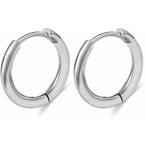 Titanium Hoop Earrings For Men Women, Plain/Cubic Zirconia Huggie Earring Charms, Dainty Cartilage/Helix Titanium Earrings For Sensitive Ears[Z1]