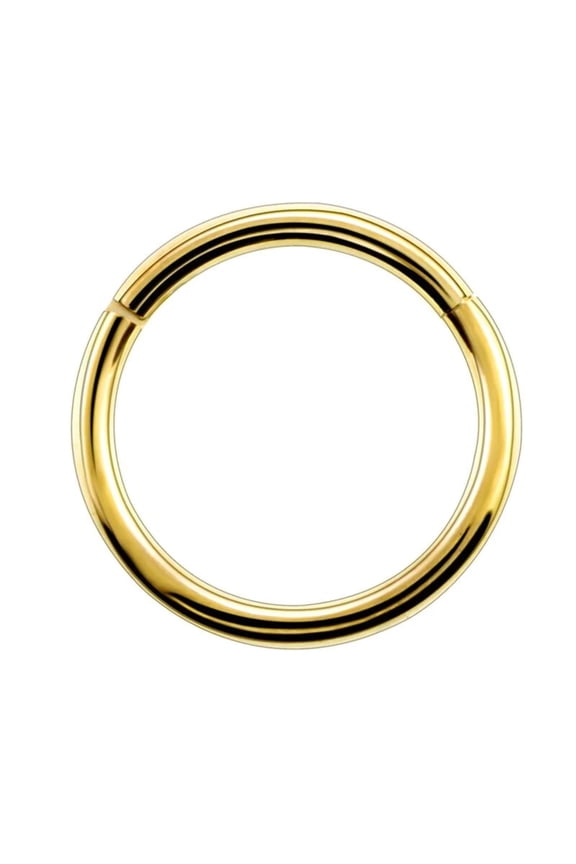 Titanium Nose Ring, 16G, Septum Ring, Earring, Seamless, Segment Hinged Hoop Vital Body Jewelry