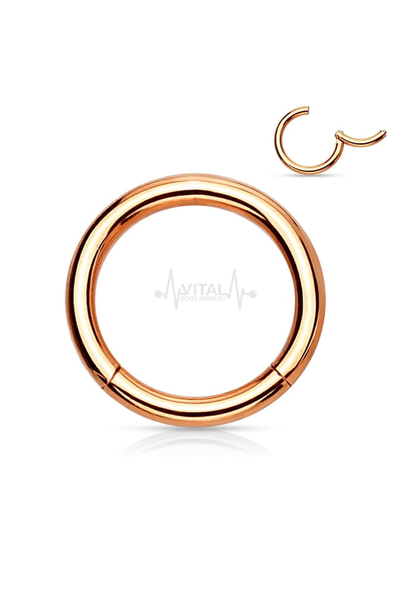 Titanium • Nose Ring, 18G, Septum Ring, Earring, Seamless, Segment Hinged Hoop