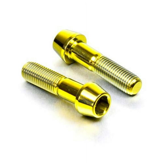 Titanium Rear Brake Caliper Pinch Bolt Kit (TIRBCALIP100)