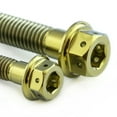 thumbnail image 1 of Titanium Rear Brake Mounting Bolt Kit DualDrive (TIRBMON380DD), 1 of 6