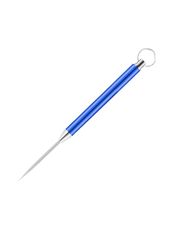 Titanium Retractable Toothpick Keychain, Portable Spring-Loaded Toothpick Tool for Camping, Travel, 1-Pack