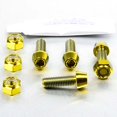thumbnail image 1 of Titanium Rider Footrest Hanger Bolt Kit (TIRREST355), 1 of 6
