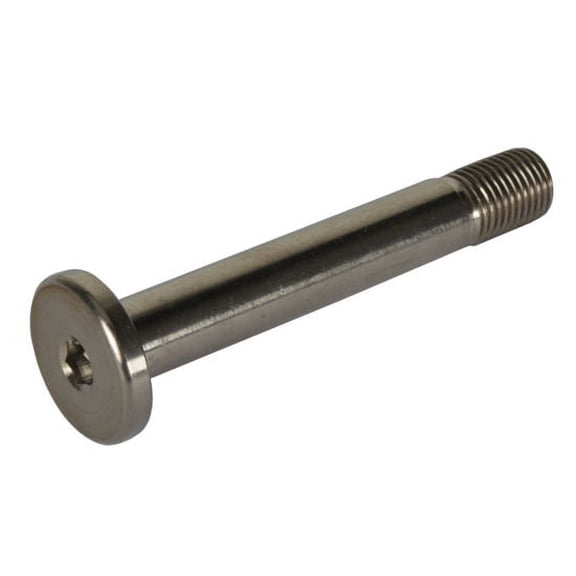 Tru-Lite Titanium Seat Bolt, 3/8-24 Thread x 2-1/2 Inch