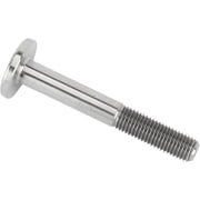 Tru-Lite Titanium Seat Bolt, 5/16-24 Thread x 2-1/4 Inch