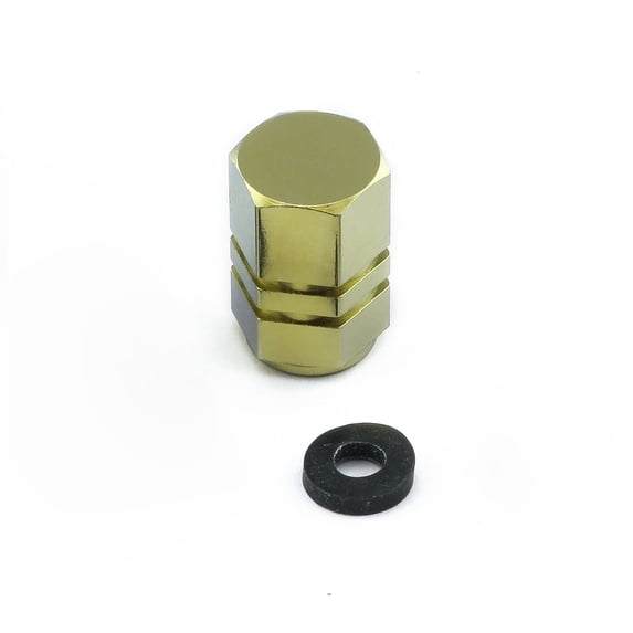 Titanium Single Dust Cap Hexagon To Fit Schrader Valves (TIDCAP10)