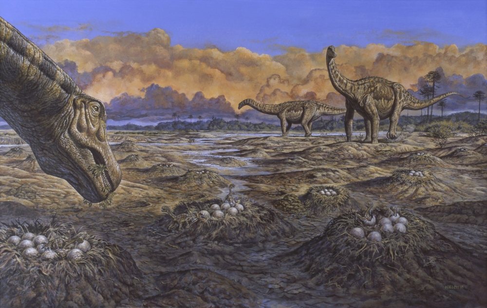 Titanosaur nesting site Mid-Cretaceous Period of South America Canvas Art - Mark HallettStocktrek Images (18 x 12)