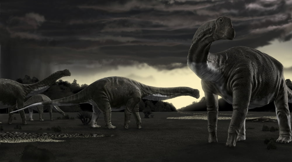 Titanosaurs in the first storm of the year Canvas Art - Rodolfo NogueiraStocktrek Images (38 x 21)