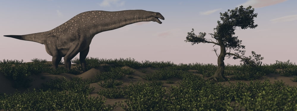 Titanosaurus standing grazing in swamp grassland Canvas Art - Kostyantyn IvanyshenStocktrek Images (23 x 9)