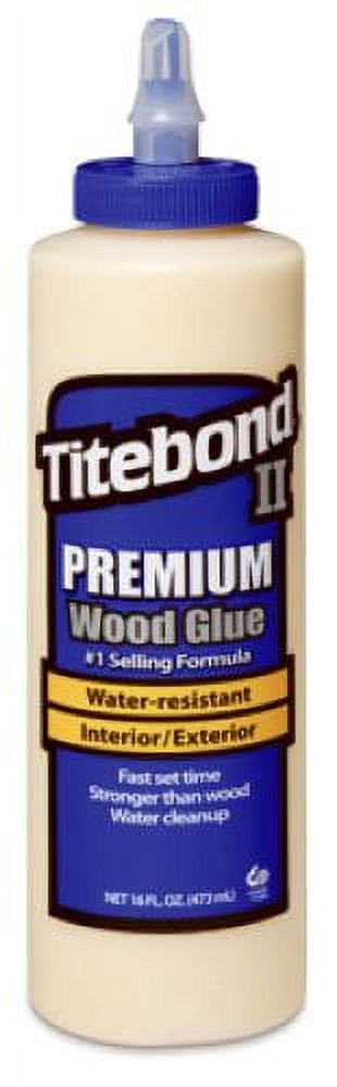 Titebond II 5004 16 oz Squeeze Bottle of Premium Wood Glue