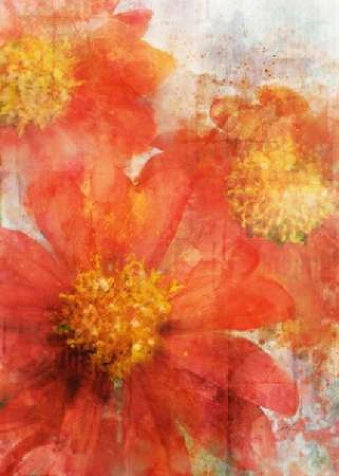 Tithonia Bloom 2 Canvas Art - Ken Roko (20 x 28)