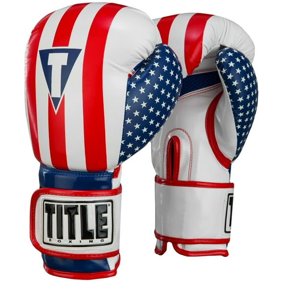 Title Boxing Infused Foam Combat USA Hook and Loop Training Gloves - Large