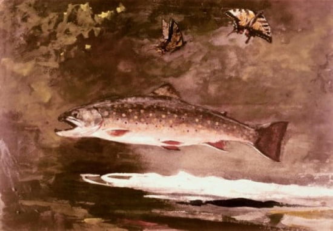 Title Unknown (Fish) Winslow Homer (1836-1910 American) Canvas Art - Winslow Homer (18 x 24)