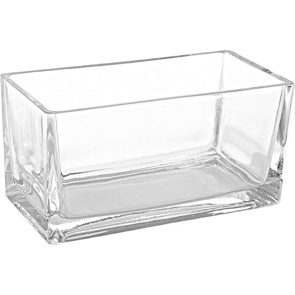 Tivkeber 7.8" Modern Rectangular Glass Vase, Trough Planter, Tabletop Terrarium for Home Decor