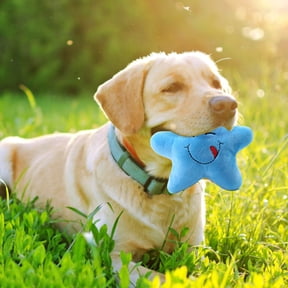 Tivok Dog Interative Star Shaped Squeaky For Cat Teaser Soft For Dogs Puppy Training