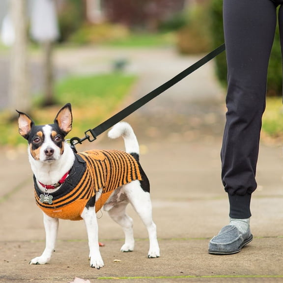 Tivok Hands Free Dog Leash,Multifunctional Dog Training Leads,8ft Nylon Leash