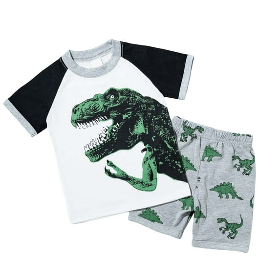 Tiweut Boys Casual 2 Piece Outfits Toddler Kids Dinosaur Print Pajama Crewneck Short Sleeve Tops Shorts Sleepwear Boy Classic Fit Clothing Suit 5-6 Y