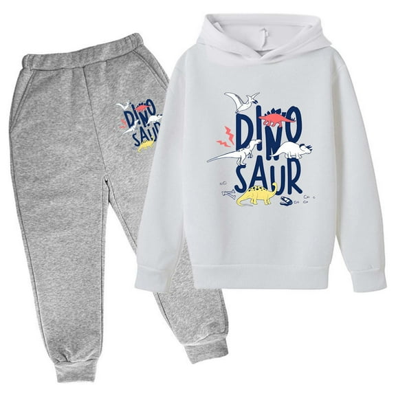 Tiweut Boys Outfits Sets Dinosaur Print Kids Hoodies Long Sleeve Sweatshirt and Sweatpants Pullover Hoodie Tracksuit Suits,3-4 Y
