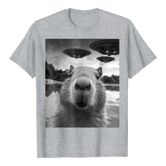 Tiweut T Shirts for WomenShort Sleeve Capibara Print Crew Neck Everyday Wear Soft Tee Loose Fit Pullover Regular Blouses,A-Grey,M