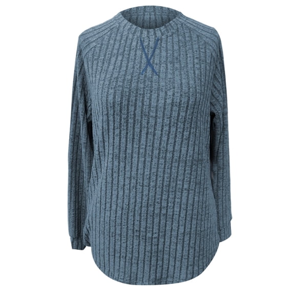 Tiweut Womens Leisure Tops Plus Size Fall Winter Long Sleeve Round Neck Loose Fit Pullover Tunic Everyday Basic Stylish Versatile Blouses,Sky Blue,XL