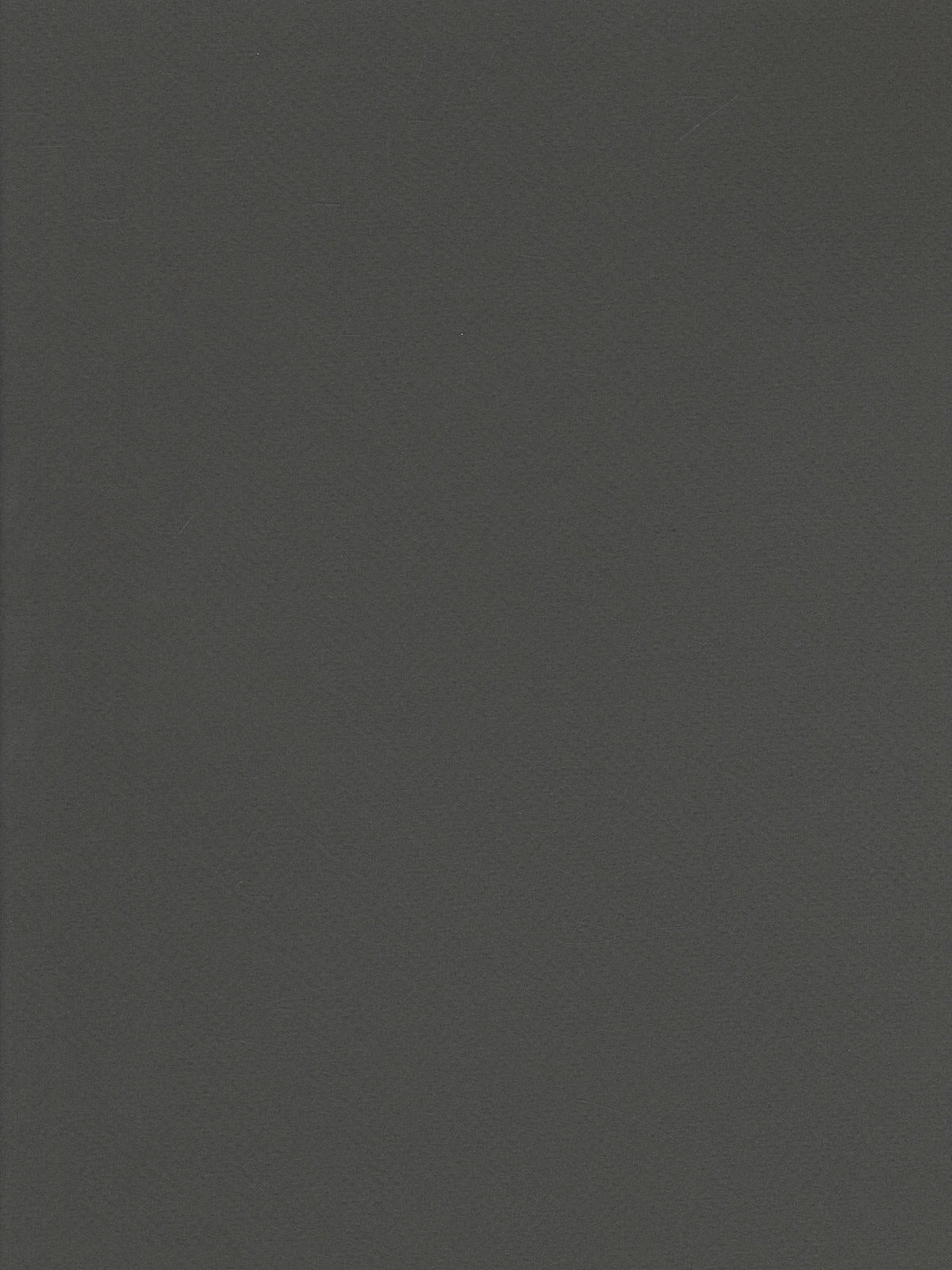 Tiziano Drawing Paper charcoal (pack of 10)