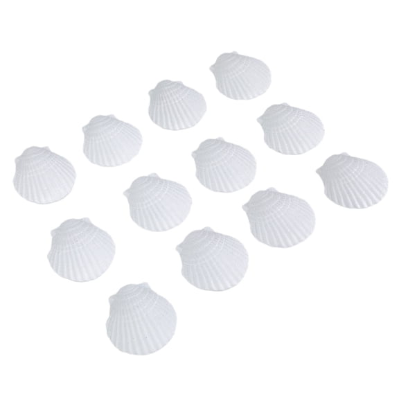 Tizuqe Artistic Ocean Shell Decoration Dustproof