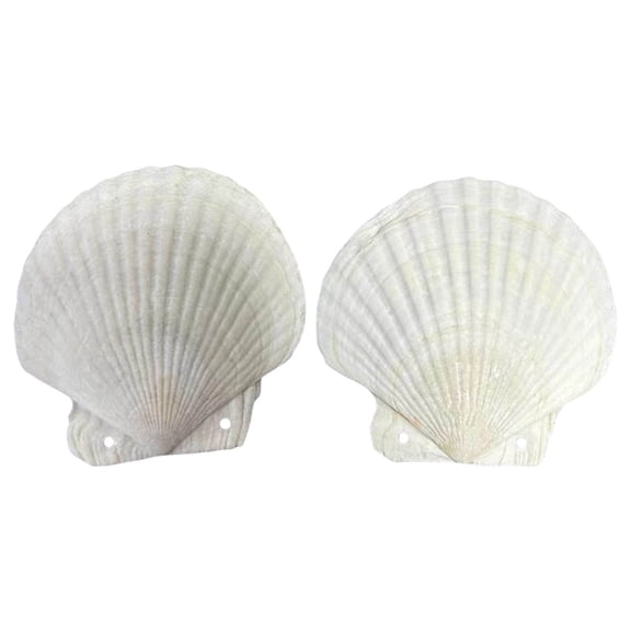 Tizuqe Cute Shell Shape Loose Leaf Notebook for Personalizing Use Refillable Notepad