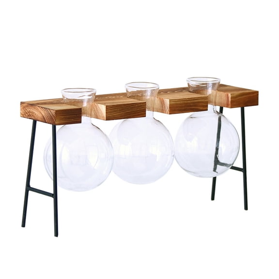 Tizuqe Glass Planter Bulb Vase with Wooden Tray Desktops Plant Container Decorations