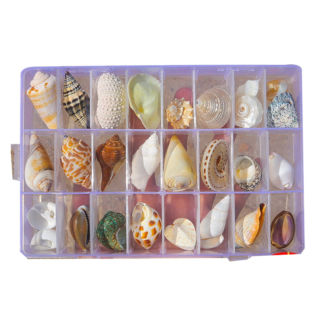 Tizuqe Seashells Display Storage Box New Square Transparents Clear ...