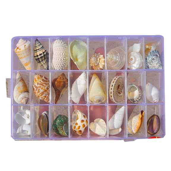 Tizuqe Seashells Display Storage Box New Square Transparents Clear Shadows Box
