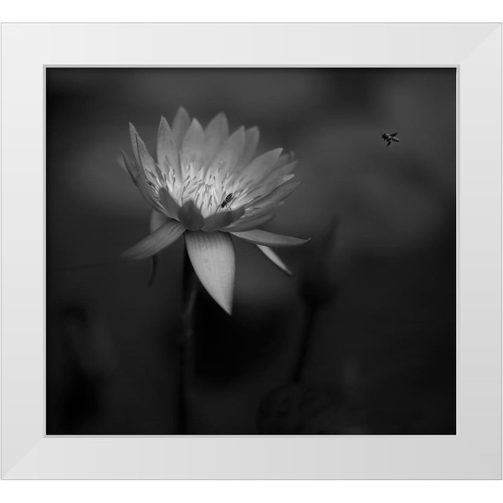 tjandra-c-s-13x12-white-modern-wood-framed-museum-art-print-titled
