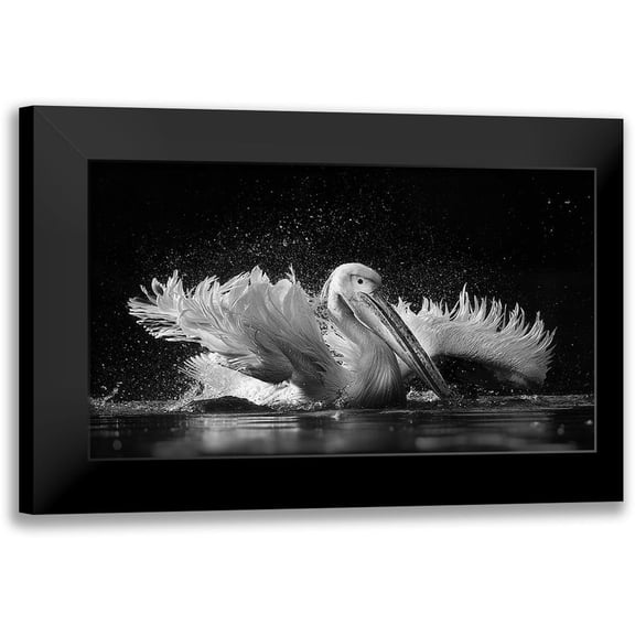 Tjandra, C.S. 14x10 Black Modern Framed Museum Art Print Titled - Refreshing