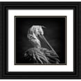 thumbnail image 1 of Tjandra, C.S. 16x15 Black Ornate Wood Framed with Double Matting Museum Art Print Titled - Pelican, 1 of 4