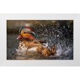 thumbnail image 1 of Tjandra, C.S. 18x12 White Modern Wood Framed Museum Art Print Titled - Mandarin Duck, 1 of 4